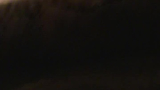 Daring and busty chick is having amazing fuck in doggy style pose