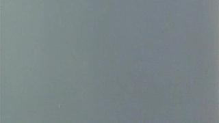 Kelly Nichols (Society Affairs) [1982].avi