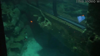 Aquarium Trip with Aliya Brynn Turns Into Aggreive Ass Eating and Milking