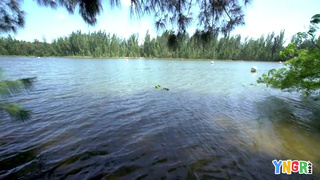 Ебля на природе безумно понравилась 18 летней тёлке