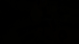 Tails Of Azeroth Xxxmas (full Game)